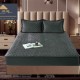 Husă de pat, Topper, 2 persoane, catifea, 160x200cm, 3 piese, cu elastic, gri închis, HPT606